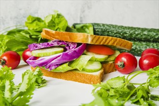 Close up fresh vegetables sandwich