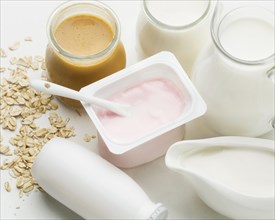 Fresh yogurt organic milk