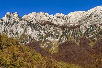 Autumn mountain landscape near Durmitor National Park