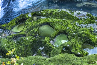 Natural pools on the river Crnojevic near Rijeka Crnojevica