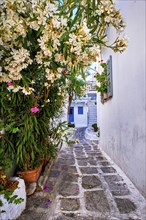Beautiful alleyway in traditional Greek island town. Cobblestone streets