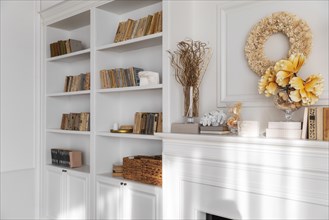Living room interior design with bookcase