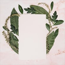 Paper sheet with leaves branches table