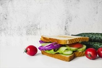 Fresh vegetable sandwich white background