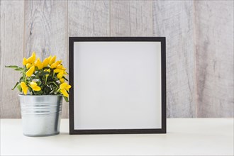 Yellow hot chili peppers silver pot white picture frame table