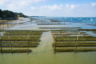 Oyster beds at low tide in the Arcachon basin