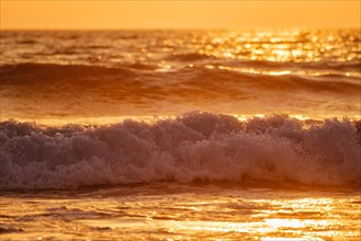 Breaking ocean wave on sunset backlit with sun. Fonte da Telha