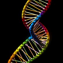 Symbolic image DNA double helix