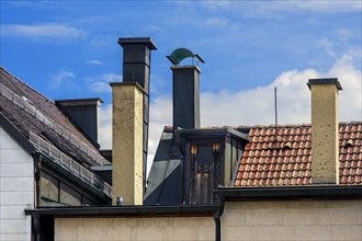 Various chimneys and dormer windows