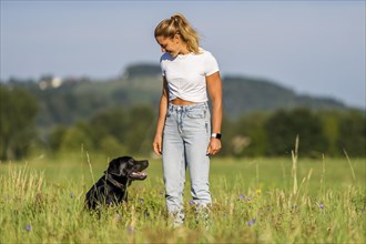 Woman and a Labrador dog on a meadow