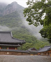 Baekyangsa Temple