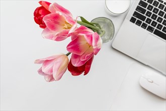 Tulips laptop white table