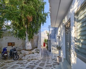 Charming traditional narrow streets and beautiful walkways of Greek island towns. Whitewashed houses