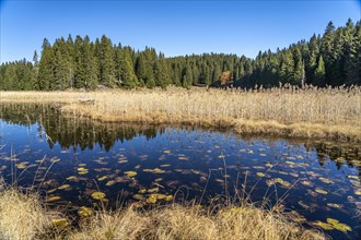 The mountain lake Barno Jezero in Durmitor National Park