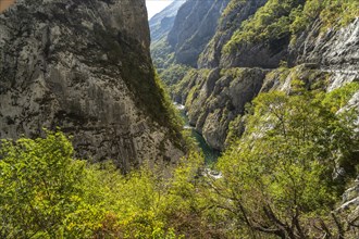 Moraca River Gorge near Kolasin