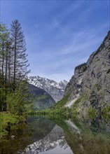 Landscape at Obersee