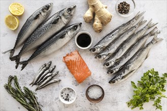 Assortment healthy sea food