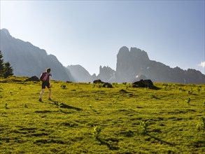 Woman hiking across alpine meadow in front of the peaks of the Gosaukamm