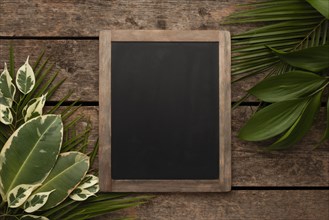 Top view beautiful plant leaves with chalkboard