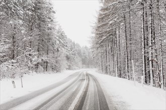 Winter road clod forest