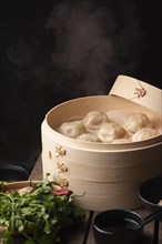 High angle traditional asian dumplings with copy space
