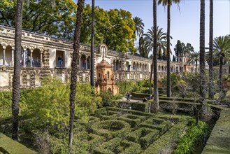The Gardens of the Royal Palace Alcazar