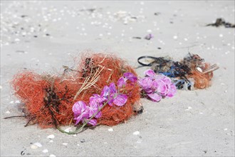 Marine litter washed up on the beach