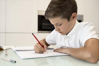 Adorable young boy doing his homework