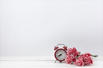Carnation red flowers red alarm clock white wooden surface