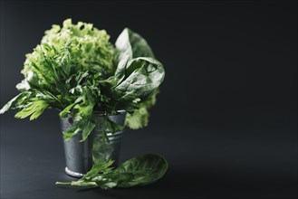 Organic leafy vegetables bucket black background