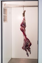 Skinned deer on a meat hook in a cold store