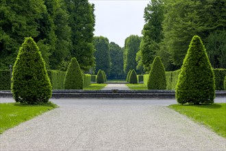 Star fountain with shaped trees in the Herrenhaeuser Gardens