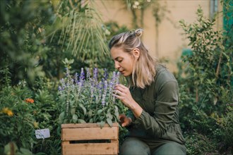 Blonde young woman smelling lavender flowers crate