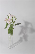 Blossom flower vase table 3