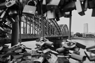 Love locks on a bridge over the Rhine