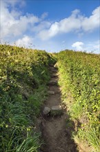 Narrow steep footpath