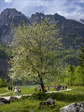 Hiking trail to Obersee