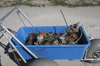 Systematic recording of beach litter on an uninhabited island in the North Sea