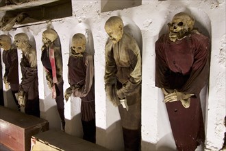 Row of standing mummies