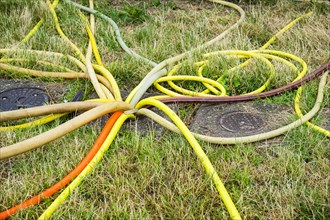 Many water hoses in a meadow