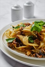 Closeup view of mushroom pasta with champignon on a plate