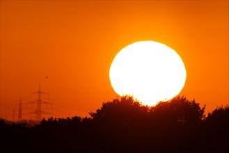 The sun rises next to some electricity pylons while a bird flies by