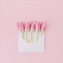 Tulip flowers envelope table