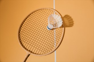 Badminton racket shuttlecock top view