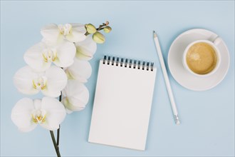 Tender white orchid flowers near spiral notepad pencil coffee cup against blue background