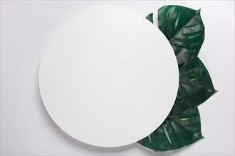 Handmade paper circle with leaves beside