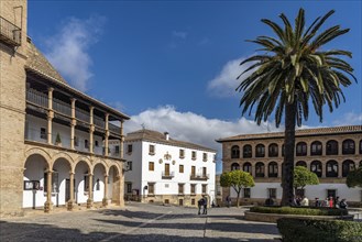 Plaza Duquesa de Parcent with Town Hall and Santa Maria la Mayor