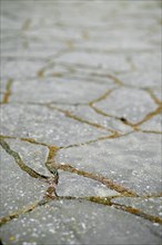 Closeup view of garden tiles for path or paving stones