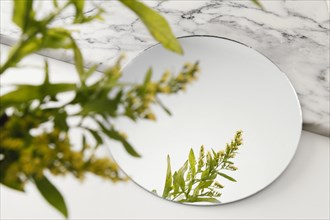 Foliage mirroring mirror