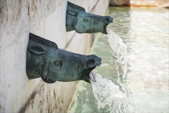 Water gushes from horse heads in an old fountain in Lisbon's Old Town
